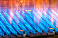 Kirkwood gas fired boilers